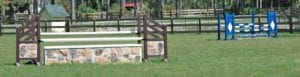 Horse Jumps and Obstacles