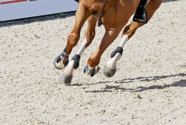 Protex horse arena footing