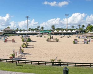 Dressage Ring in Florida