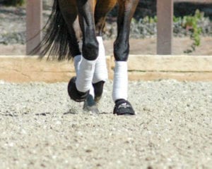 Dressage ring footing