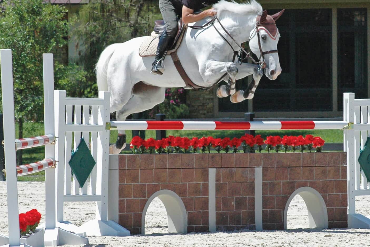Choosing the Right Horse Jump Cups 
