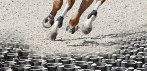 Horse Arena Footing