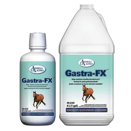 Omega Alpha bottle of Gastra-FX supplement