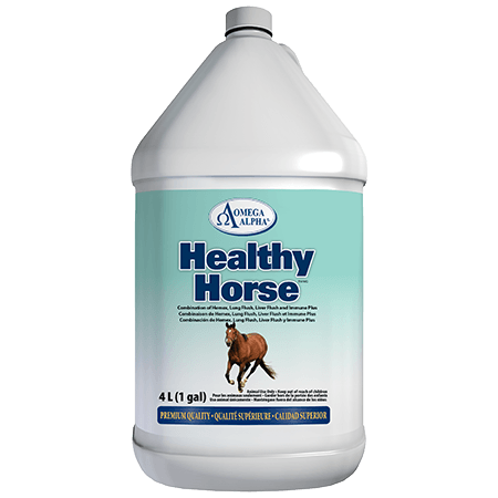 Omega Alpha bottle of Healthy Horse supplement