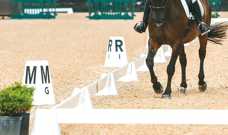 Sundance dressage arena with brown horse