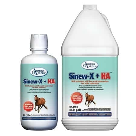 Omega Alpha bottle of Sinew-X supplement
