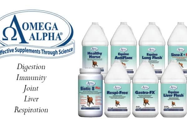 jugs of OmegaAlpha horse supplements