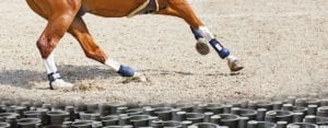 horse legs cantering on arena surface