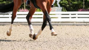Horse Arena Footing Cost and Selection