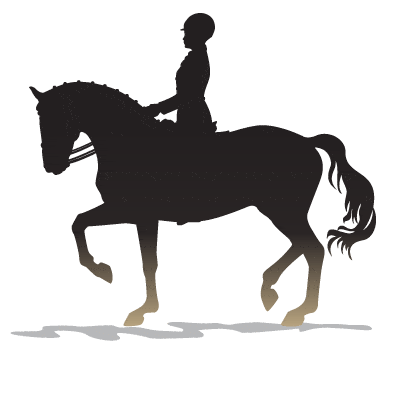 silhouette dressage horse and rider