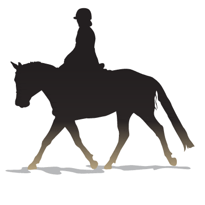 silhouette english rider