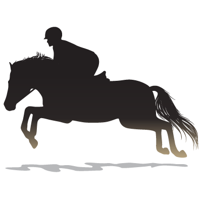silhouette jumping horse