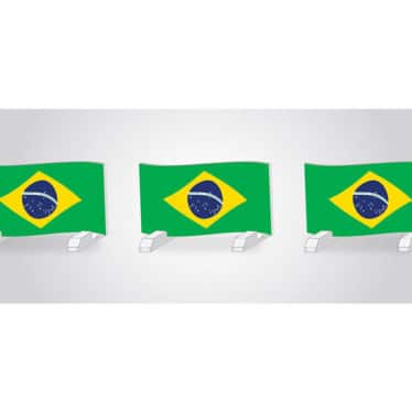 Brazilian flag horse jump hurdles