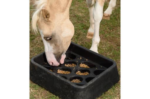 horse eating grain from a slow feeder