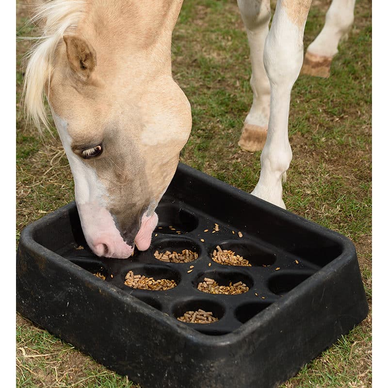 Horse Stall Feeders & Waterers Premier Equestrian