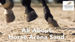 All about horse arena sand