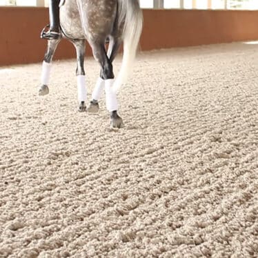 gray horse trotting on arena footing