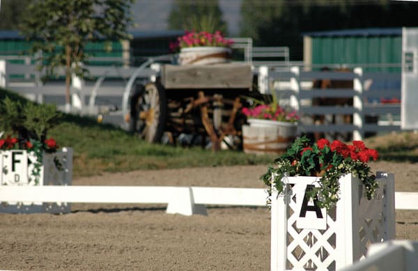 Premier dressage arena with red flowers
