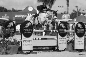 Horse jumping over a premier equestrian horse jump