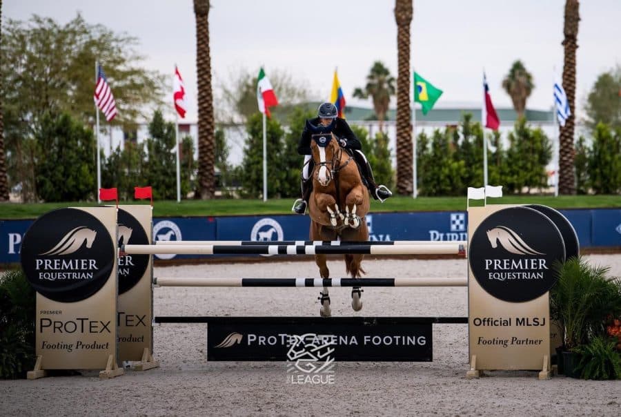 Footing and Arena Company Premier Equestrian has New Mascot Sir