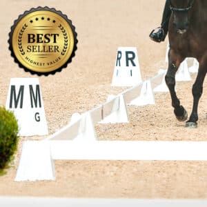 dressage arena with brown horse