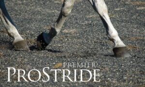 ProStride rubber arena footing