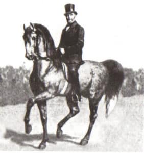 Steinbrecht man on horse in black and white