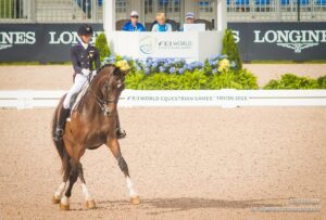 Horse rider on horse in dressage arena