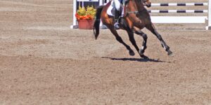 horse cantering by a jump