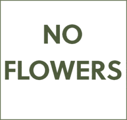 No Flowers