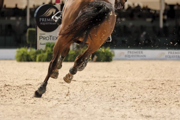 Horse Running on Premier Equestrian arena footing
