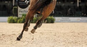 Horse Running on Premier Equestrian arena footing