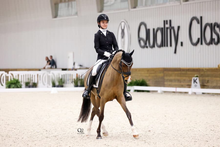 Footing and Arena Company Premier Equestrian has New Mascot Sir