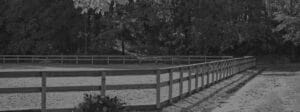 riding arena in grayscale