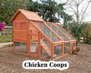 chicken coop