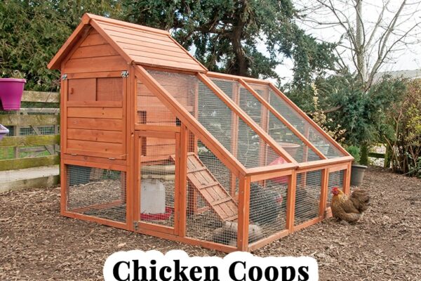 chicken coop