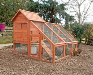 chicken coop