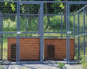 Dog kennel