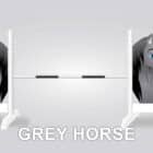 grey horse themed kid horse jump