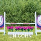 Unicorn-themed kid horse jump