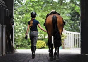Horse and rider walking on rubber pavers