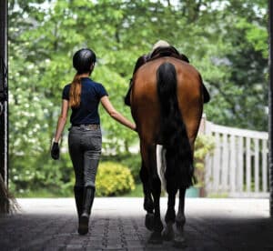 Horse and rider walking on rubber pavers