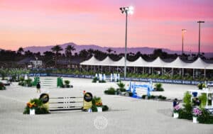 Horse riding arena with horse footing product and horse jumps