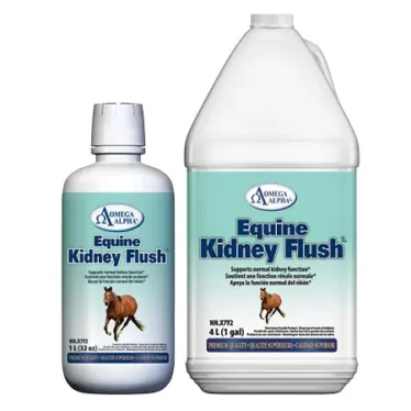 bottles of Omega Alpha Equine Kidney Flush supplements