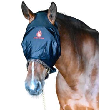 horse wearing a black blindfold for fire safety