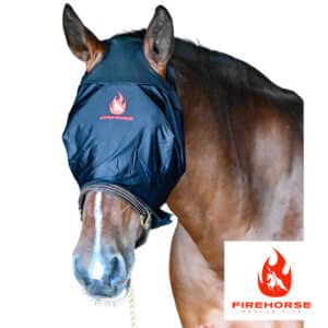 horse wearing fire rescue blindfold