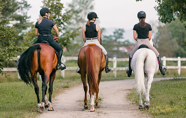 Three horse riders on their horse going down a trail