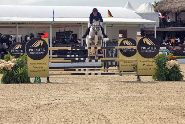 gray horse jumping on fiber footing