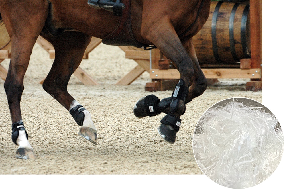 brown horse cantering on arena footing