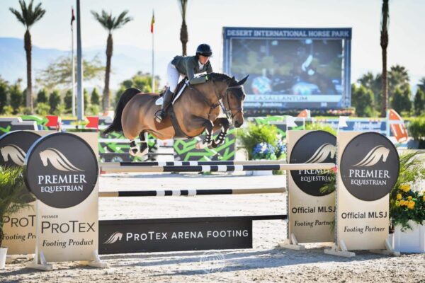 Premier Equestrian horse jumps